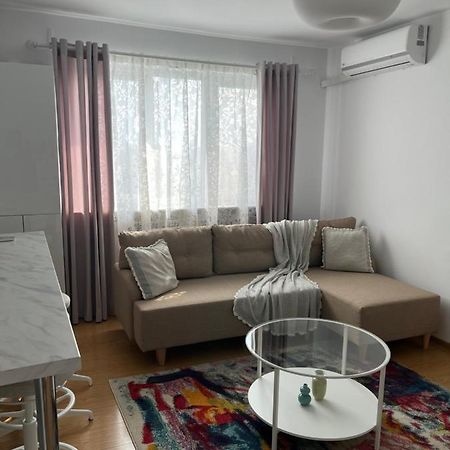 Alma Apartments Suceava Exterior photo
