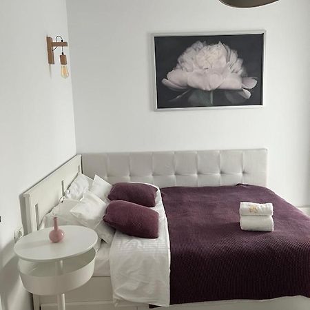 Alma Apartments Suceava Exterior photo