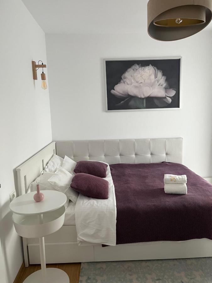 Alma Apartments Suceava Exterior photo